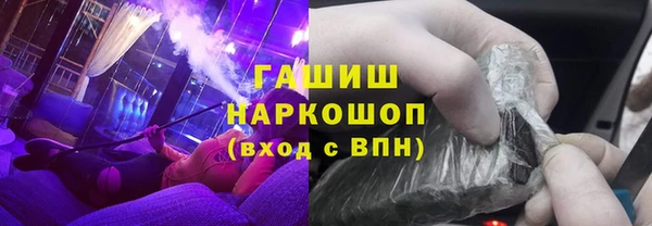 прущие грибы Алзамай