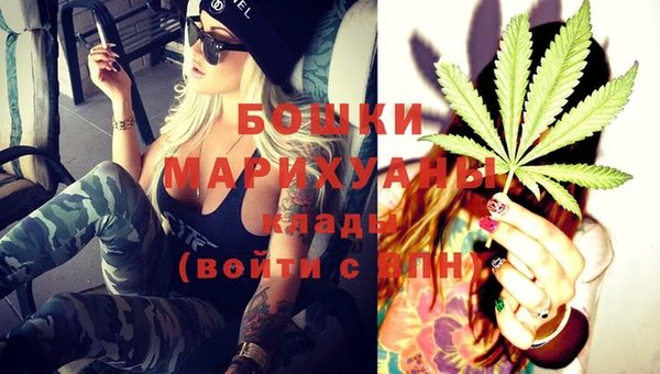 PSILOCYBIN Елизово
