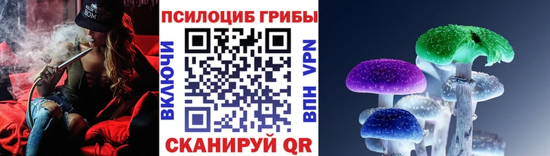 Псилоцибиновые грибы Psilocybe  как найти   Камень-на-Оби 